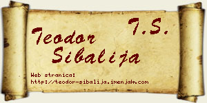 Teodor Šibalija vizit kartica